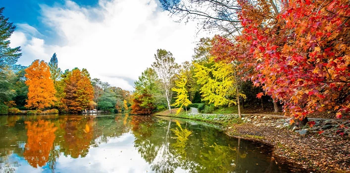 Outdoor Activities in Istanbul in Fall 17 Istanbul