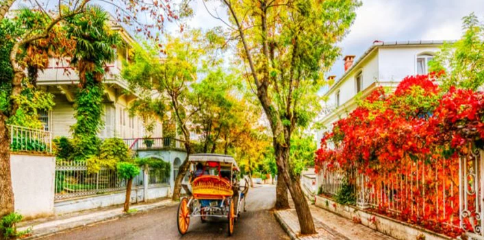 Outdoor Activities in Istanbul in Fall 19 Istanbul